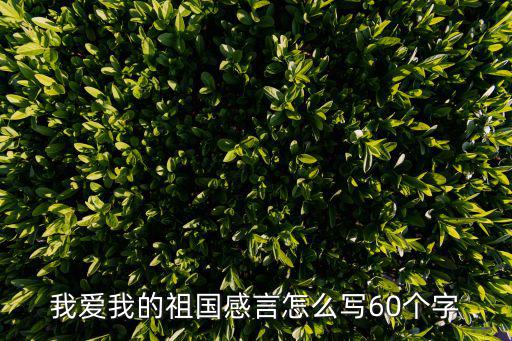我愛的祖國，我愛祖國800字作文