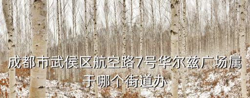 成都市武侯區航空路屬于什么街道，成都航空路屬于哪個區