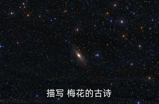 關(guān)于梅花的詩句,十一月中旬的雪梅