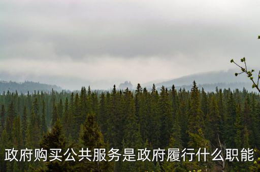 成都市民政局政府購買服務，您好我想請問什么是政府購買服務人員它屬于編制嗎它會簽約嗎