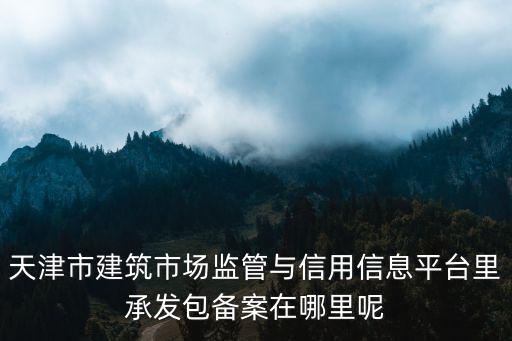 天津市建筑市場監(jiān)管與信用信息平臺(tái)里承發(fā)包備案在哪里呢