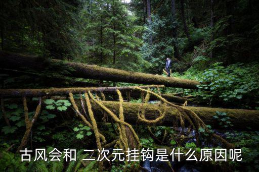  古風會和 二次元掛鉤是什么原因呢