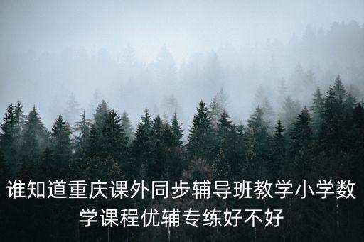 誰(shuí)知道重慶課外同步輔導(dǎo)班教學(xué)小學(xué)數(shù)學(xué)課程優(yōu)輔專(zhuān)練好不好