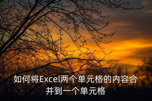 如何將Excel兩個單元格的內容合并到一個單元格