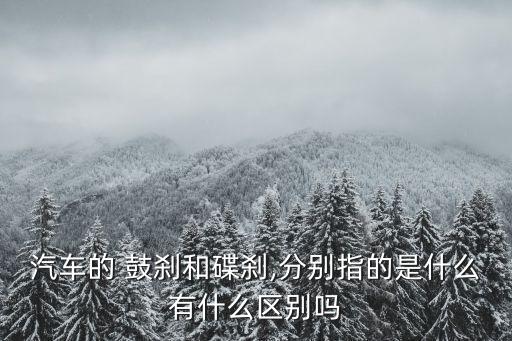 鼓剎和碟剎的區別,前盤后鼓配置剎車系統驅動方式選擇