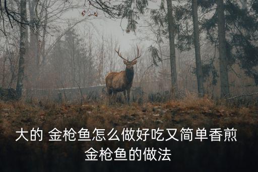 大的 金槍魚怎么做好吃又簡單香煎 金槍魚的做法