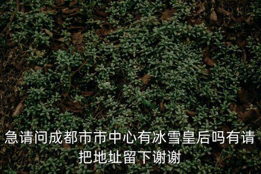 急請問成都市市中心有冰雪皇后嗎有請把地址留下謝謝