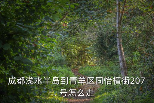 成都淺水半島到青羊區同怡橫街207號怎么走