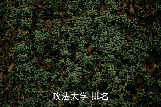 政法大學 排名