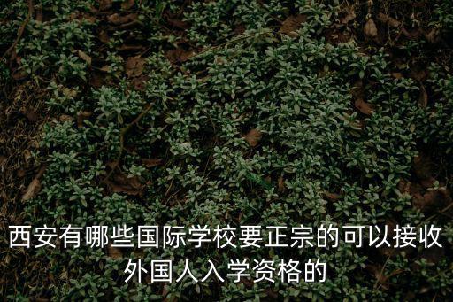 西安國際學校有哪些，想讓我在國內打基礎不想去培訓班請問西安有沒有好一點的國際
