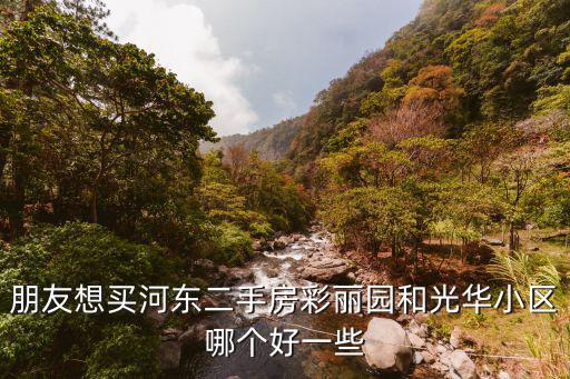 朋友想買河東二手房彩麗園和光華小區哪個好一些
