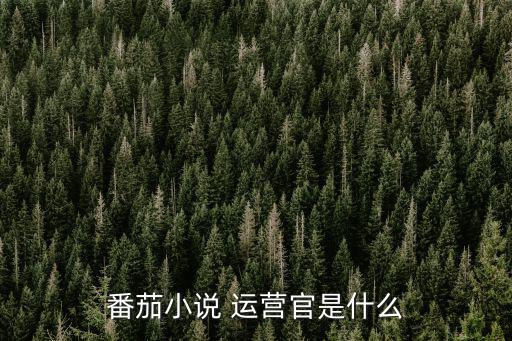 運營官,小說運營管理職位要求:首席運營官負責項目實施