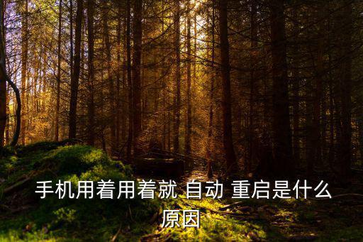 手機一直自動重啟,手機total重啟什么原因?答（12）