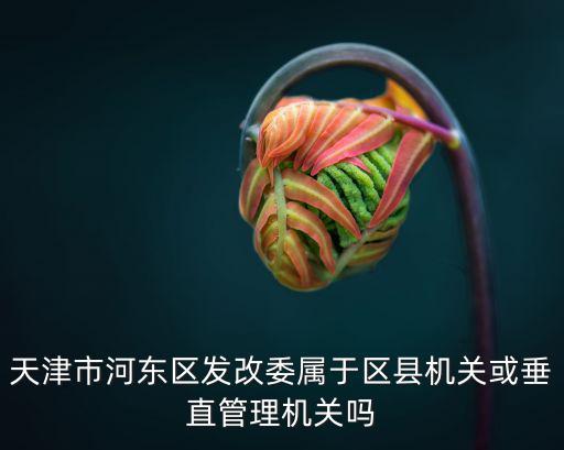 天津市河東區發改委屬于區縣機關或垂直管理機關嗎