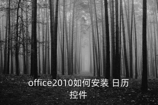 office2010如何安裝 日歷控件