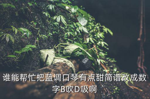 誰能幫忙把藍調口琴有點甜簡譜改成數字B吹D吸啊