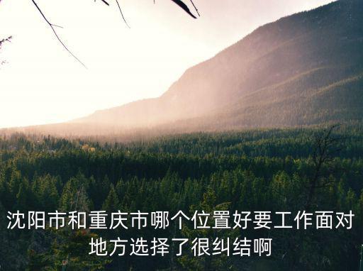 沈陽(yáng)市和重慶市哪個(gè)位置好要工作面對(duì)地方選擇了很糾結(jié)啊
