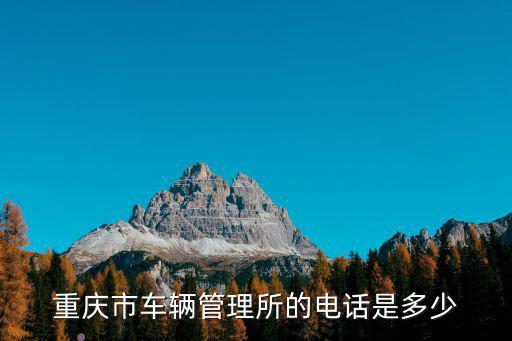 重慶市車輛管理所的電話是多少