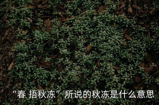 “春 捂秋凍”所說的秋凍是什么意思