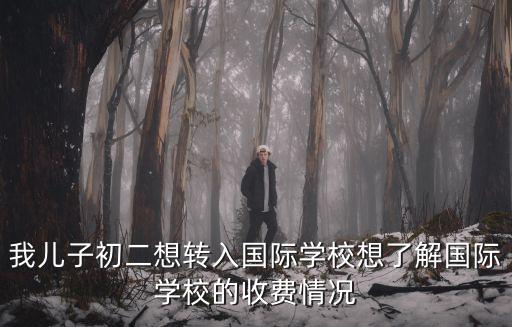 我兒子初二想轉入國際學校想了解國際學校的收費情況