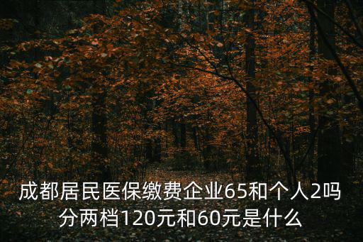 成都居民醫保繳費企業65和個人2嗎分兩檔120元和60元是什么