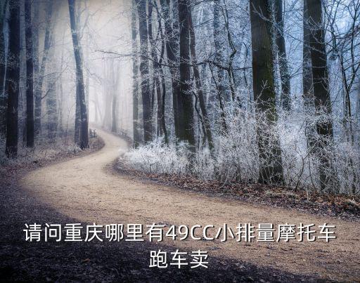 請問重慶哪里有49CC小排量摩托車跑車賣