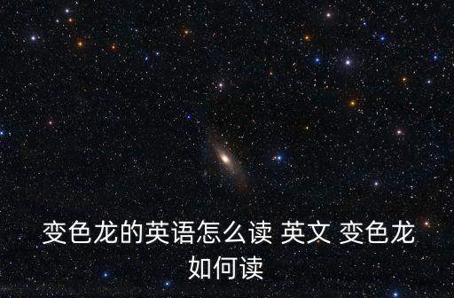 變色龍的英文,變色龍身體黑白分明展示絕佳偽裝