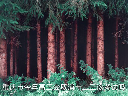 重慶市今年高三會(huì)取消一二三診考試嗎