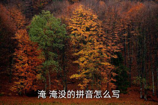 淹沒造句,淹沒:什么沉沒了?