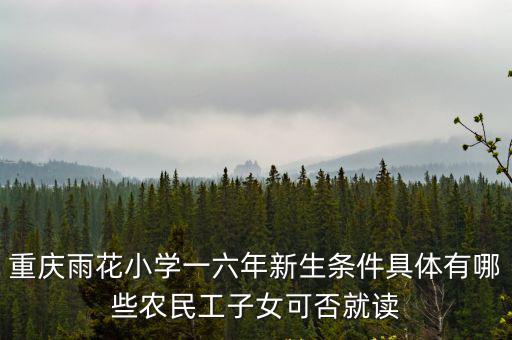 重慶雨花小學一六年新生條件具體有哪些農民工子女可否就讀