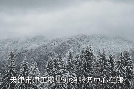天津市津工職業介紹服務中心在哪