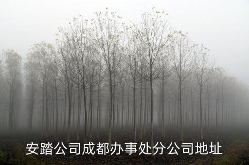 安踏公司成都辦事處分公司地址