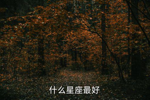 哪個星座最好，什么星座最好