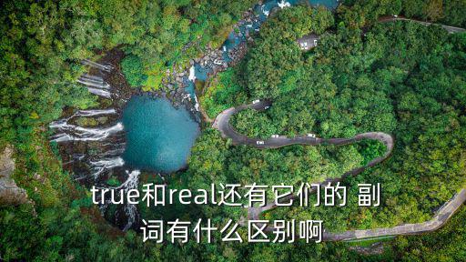  true和real還有它們的 副詞有什么區別啊