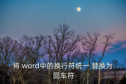 將 word中的換行符統(tǒng)一 替換為 回車符