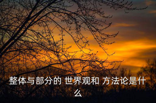 整體與部分的 世界觀和 方法論是什么