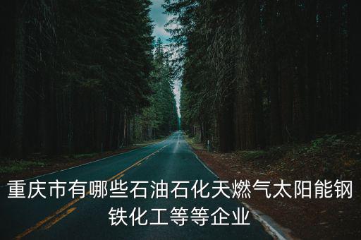 重慶市順興能源公司，重慶市高新區陳家坪紳帝大廈B幢52是什么公司