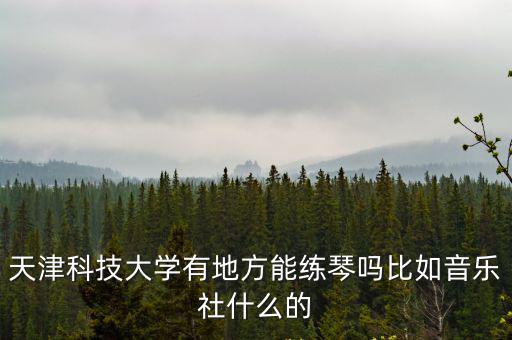 天津科技大學有地方能練琴嗎比如音樂社什么的