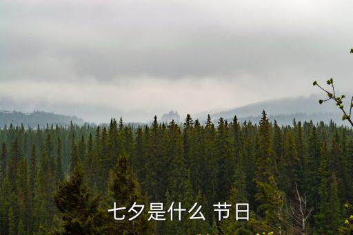 七夕節日,七夕節起源于中國是世界上最早愛情節日