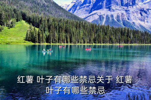  紅薯 葉子有哪些禁忌關于 紅薯 葉子有哪些禁忌