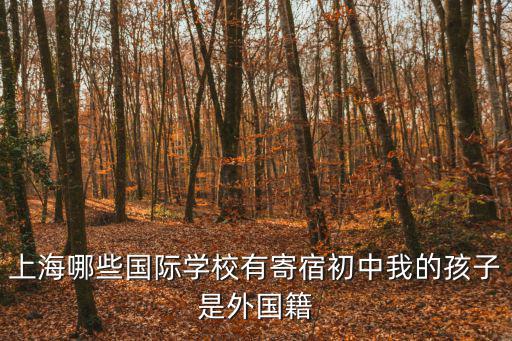 上海哪些國際學校有寄宿初中我的孩子是外國籍