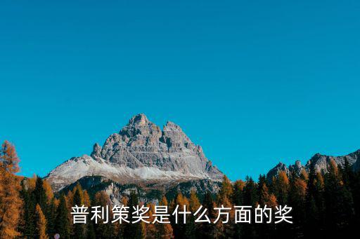  普利策獎(jiǎng)是什么方面的獎(jiǎng)