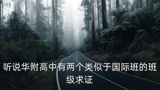 聽說華附高中有兩個類似于國際班的班級求證