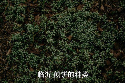 臨沂煎餅,蒙古小姐介紹煎餅制作方法