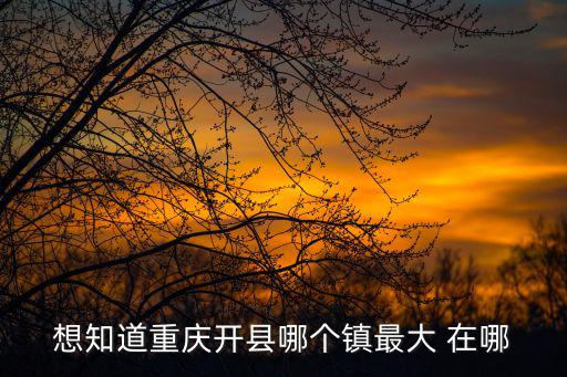 想知道重慶開縣哪個鎮(zhèn)最大 在哪