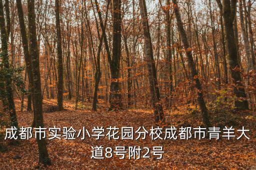 成都市實驗小學花園分校成都市青羊大道8號附2號