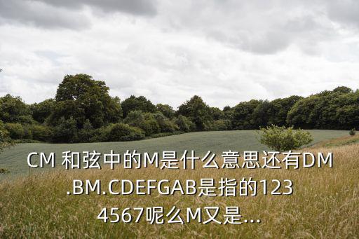cm和弦,四分之三弦樂器演奏出變奏曲
