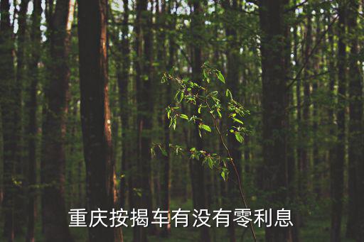 重慶按揭車有沒有零利息