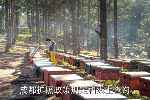 成都護照政策規定和線上查詢