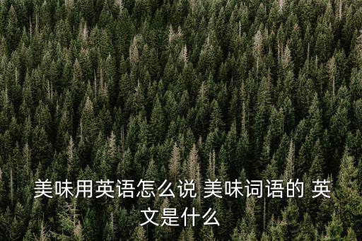 美味的用英文怎么說